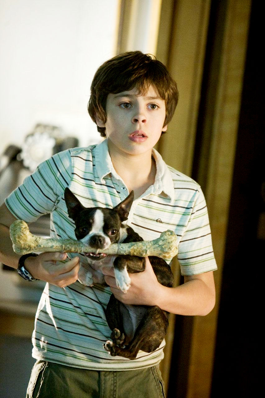 hotel_for_dogs17.jpg